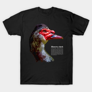 Muscovy duck head white head T-Shirt